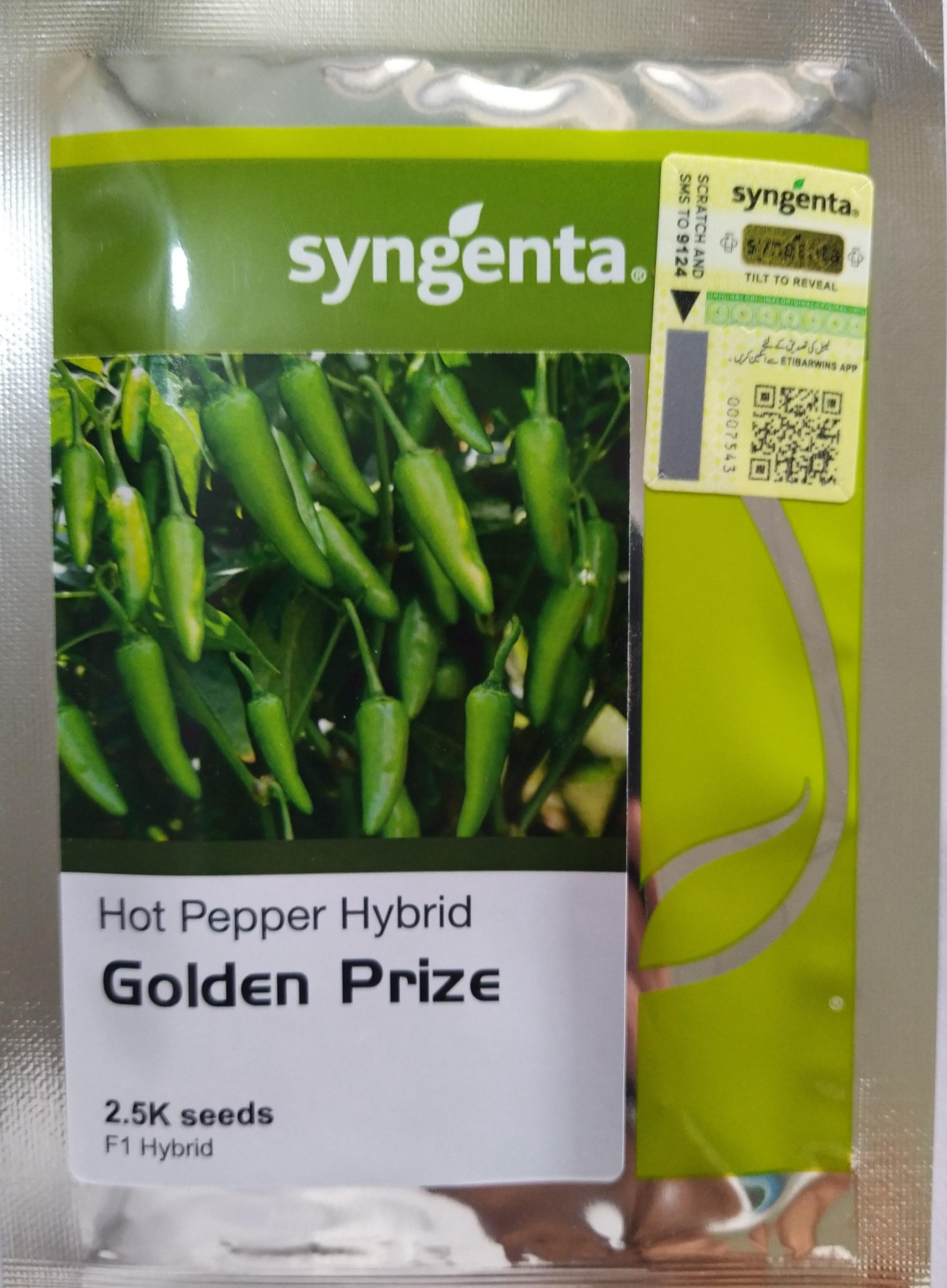Golden Prize , Hot pepper 🌶️